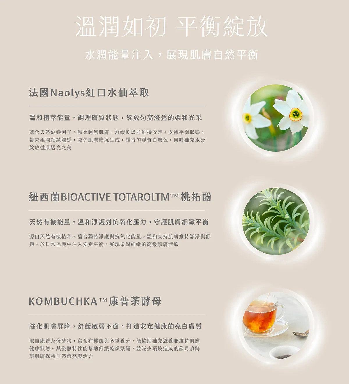 康普茶酵母 法國Naolys 紅口水仙萃取 有機 桃拓酚 sometimes 水乳液 成分解析