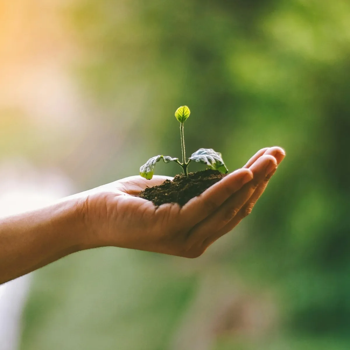 科學平衡 自然植萃 敏感肌 sometimes首頁配圖 台灣保養品牌 誠實配方