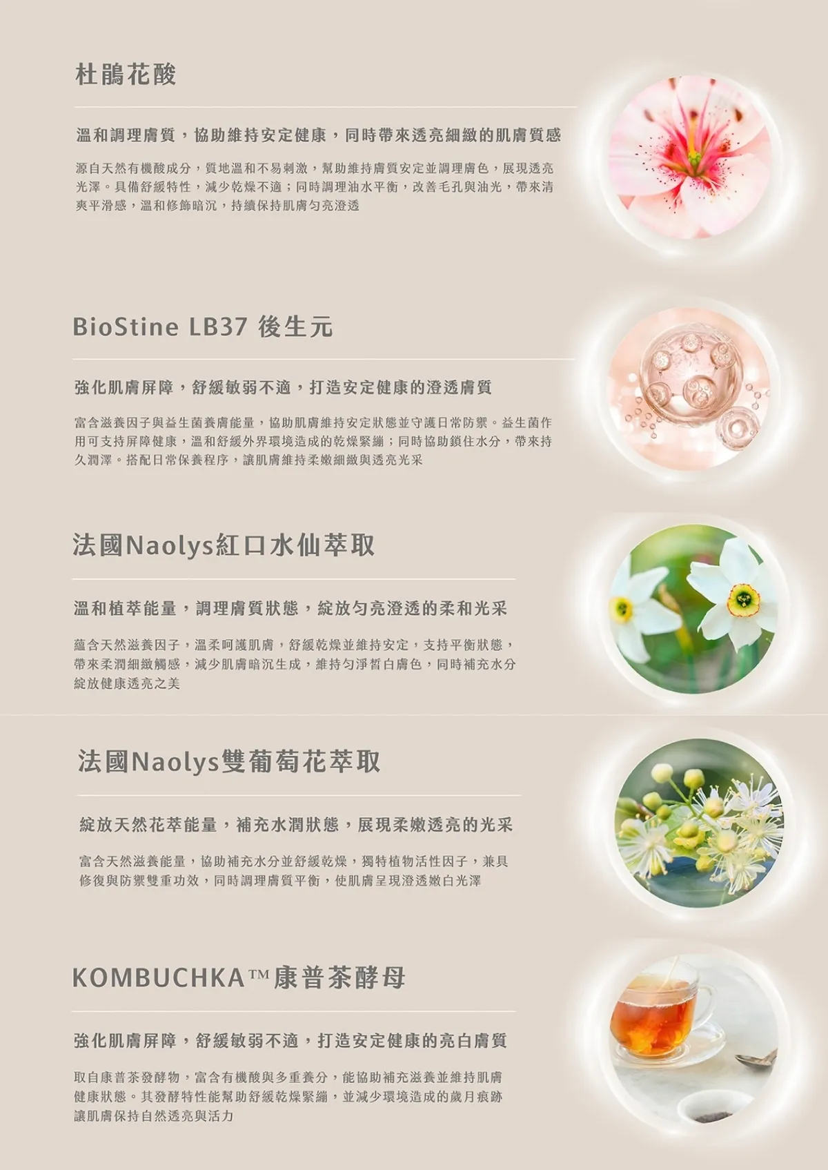 酵母 傳明酸 紅口水仙萃取 雙葡萄花萃取 sometimes 透亮三步組 成分解析