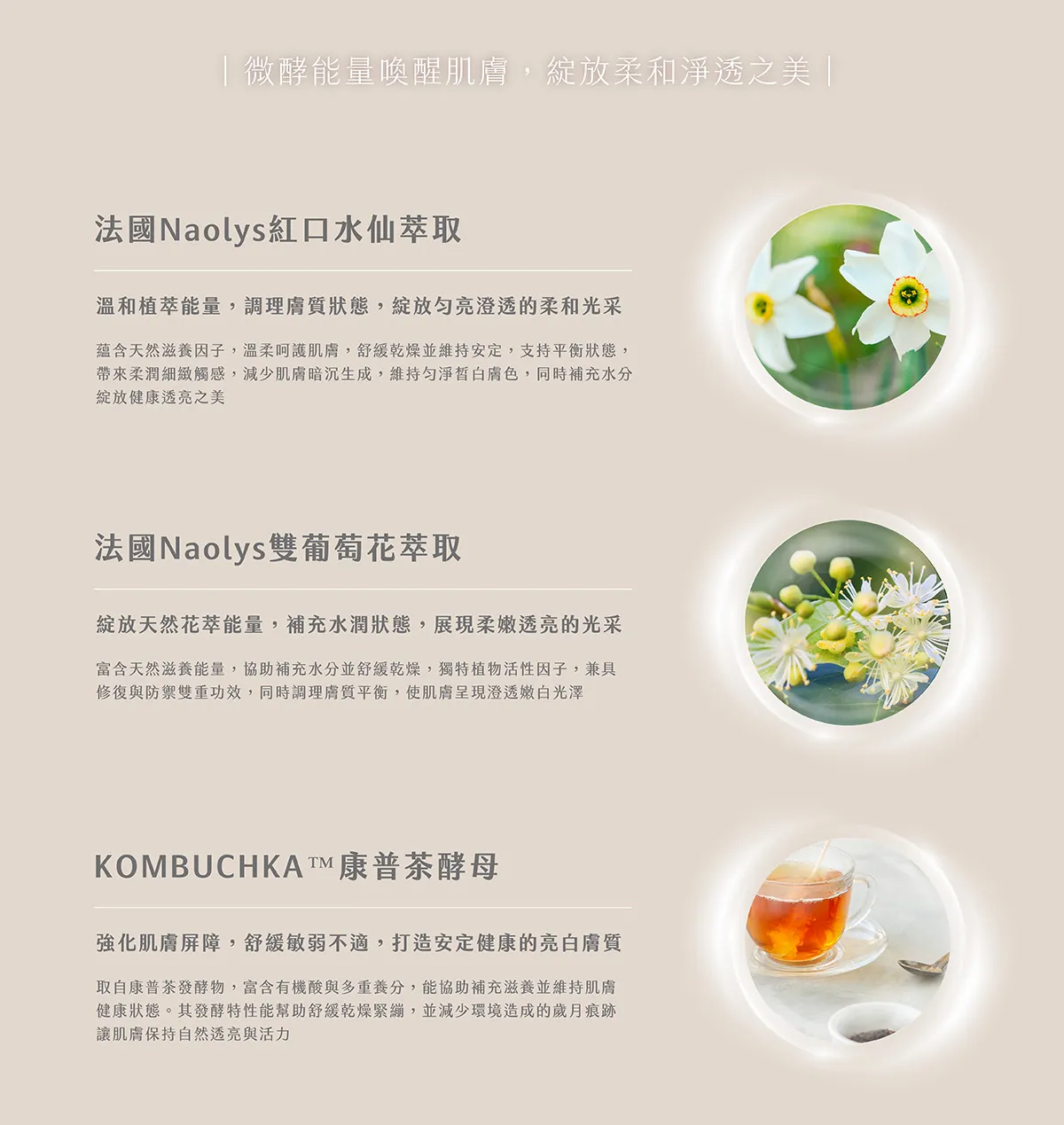 康普茶酵母 法國Naolys 紅口水仙萃取 雙葡萄花萃取 sometimes 淨白精華 成分解析